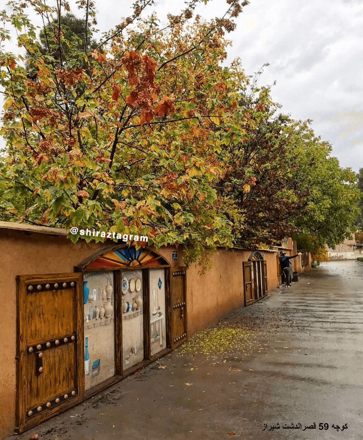 کوچه باغهای قصرالدشت، شیراز: طراوت سبز در دل شهر